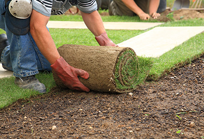 Fresh sod being installed